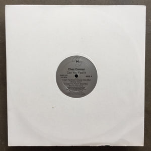 Chez Damier ‎– Can You Feel It