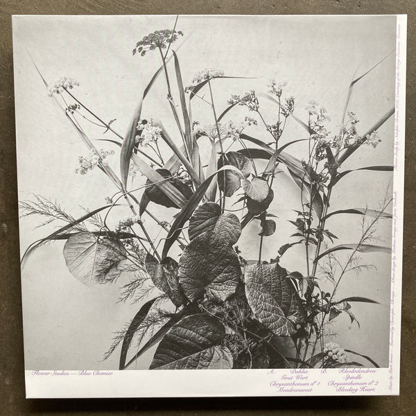 Blue Chemise - Flower Studies