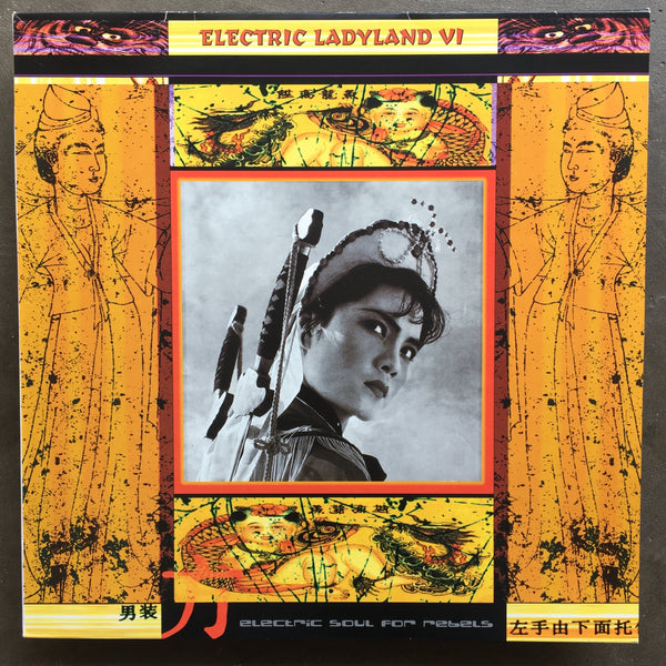 Various ‎– Electric Ladyland VI