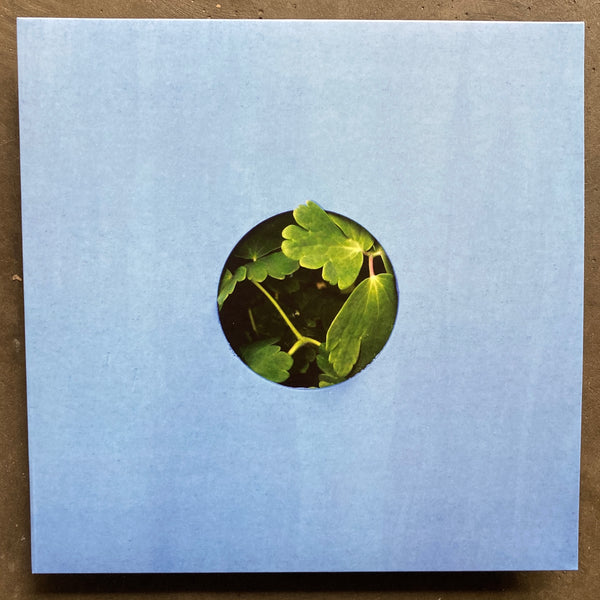 Blue Lake – Moving