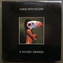 Nurse With Wound ‎– A Sucked Orange