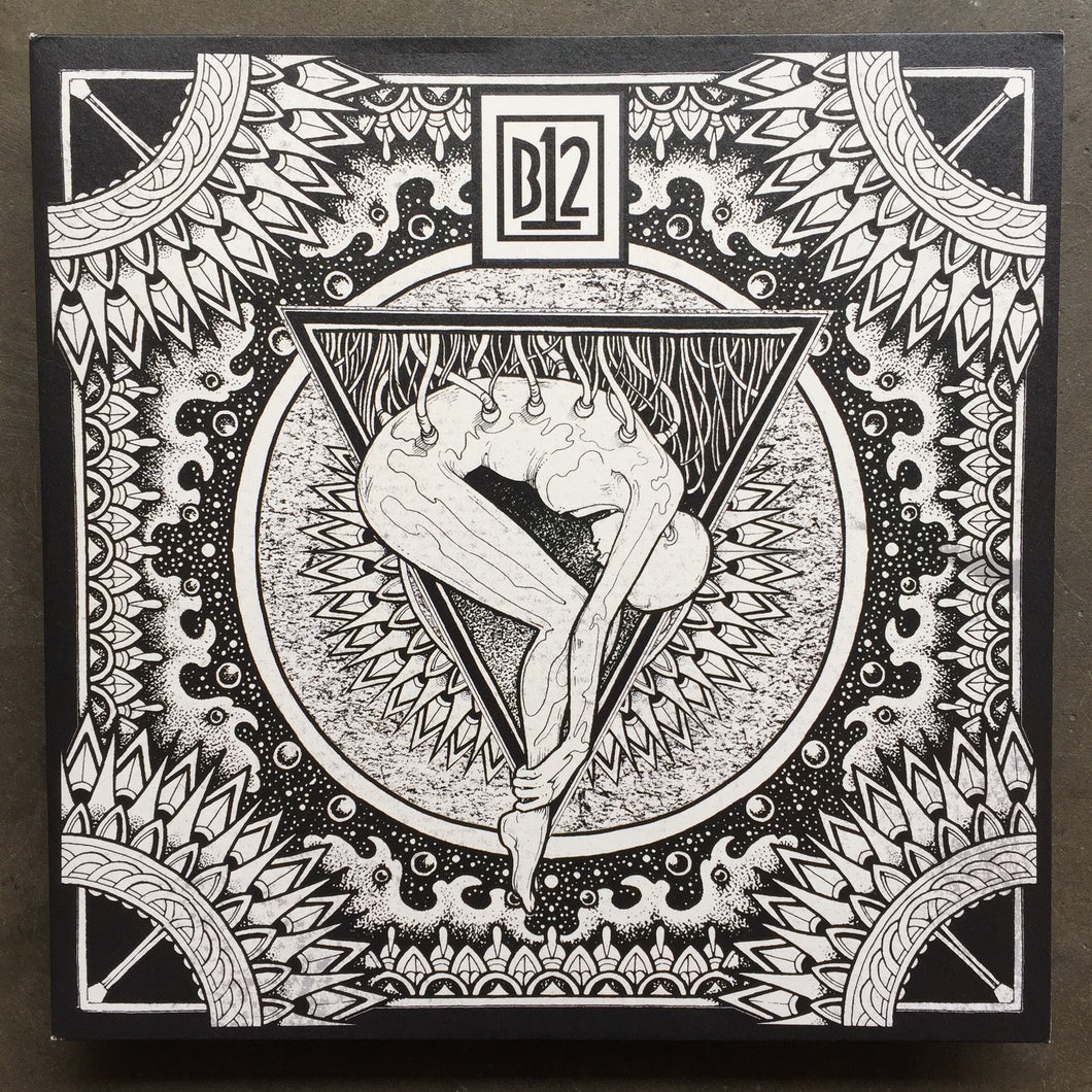 B12 – Electro-Soma II