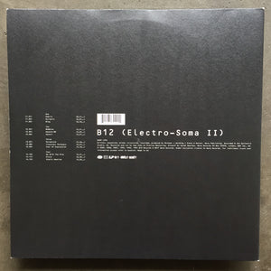 B12 – Electro-Soma II