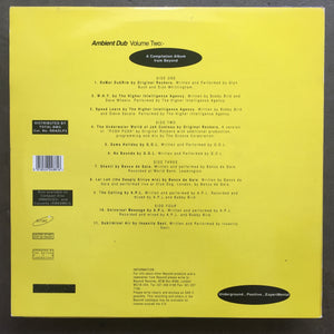Various – Ambient Dub Volume 2. Earthjuice.