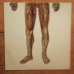 Johan Timman ‎– Trip Into The Body