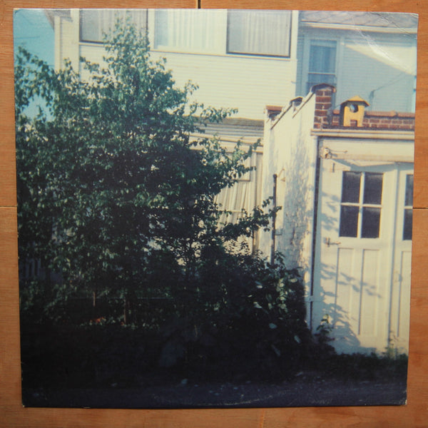 Jandek ‎– Twelfth Apostle