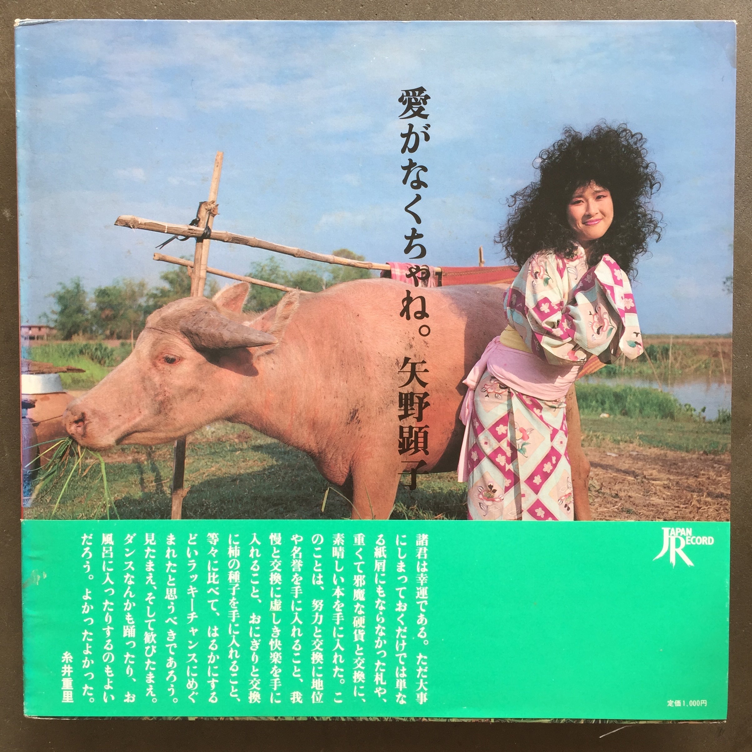矢野顕子 / Akiko Yano – 愛がなくちゃね / Ai ga Nakucha ne – All