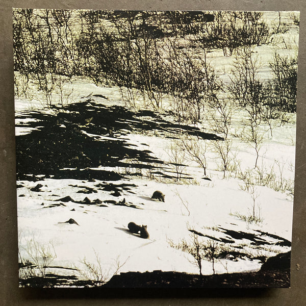 Arv & Miljö – Ensam Är Nattens Rymd Över Vita Vägar