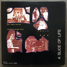 Various – A Slice Of Life